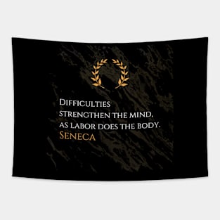 Seneca's Insight: Resilience Through Adversity Tapestry