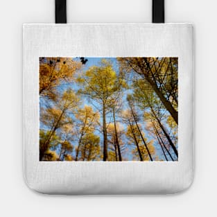 Trees in Autumn Tote