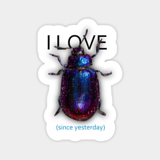 I LOVE *beetle* since yesterday Magnet