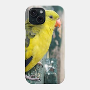 Regent Parrot Phone Case