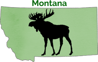 Montana Magnet