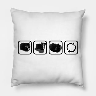 Maxwell Loop - horizontal - black Pillow