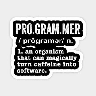 Programer Definition - Funny  Geeks And Nerds Magnet