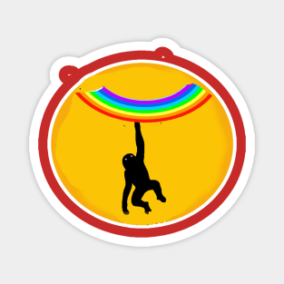 monkey hanging in Rainbow Magnet