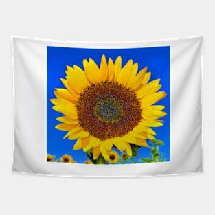 Sunflower power Tapestry