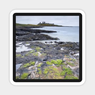 Dunstanburgh / Cushat Stiel Magnet