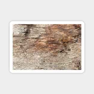 Old wooden texture Magnet