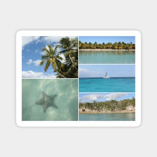 Caribbean Travel Vacation Photo Collage Magnet