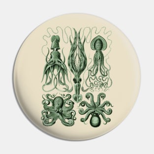 Ernst Haeckel Gamochonia Octopus Green Pin