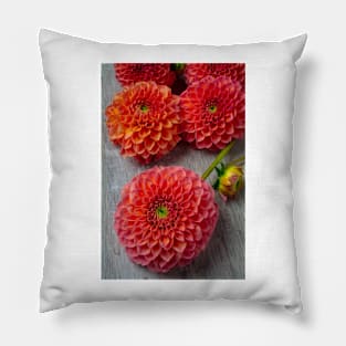 Afternoon Dahlias Pillow