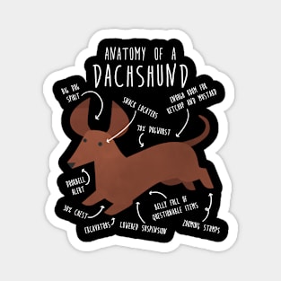 Red Dachshund Dog Anatomy Magnet