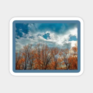 Beautiful golden trees against a blue sky Magnet