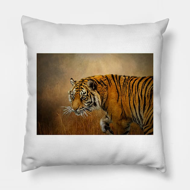 Tiger on the prowl Pillow by Tarrby