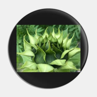 The Bud of Rising Green Sunflower Peace WorldWide Pin