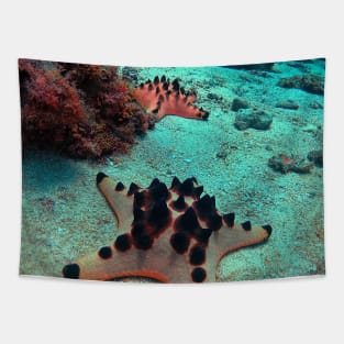 Chocolate Chip Sea Star Tapestry