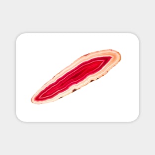 Red agate slice mineral Magnet