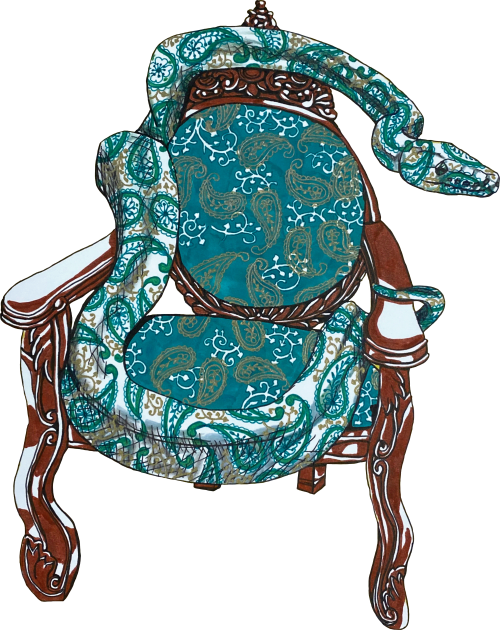 Snake and Chair Kids T-Shirt by RaLiz