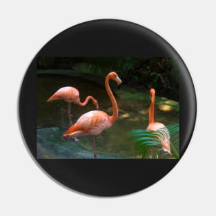 Flamingo Pin