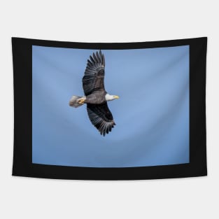 Soaring Bald Eagle Tapestry