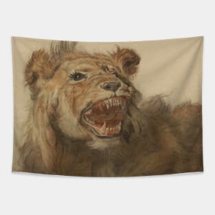 A Lion Snarling by Cornelis Saftleven Tapestry