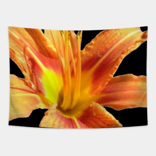 Beautiful photograph of an orange lily flower Tapestry