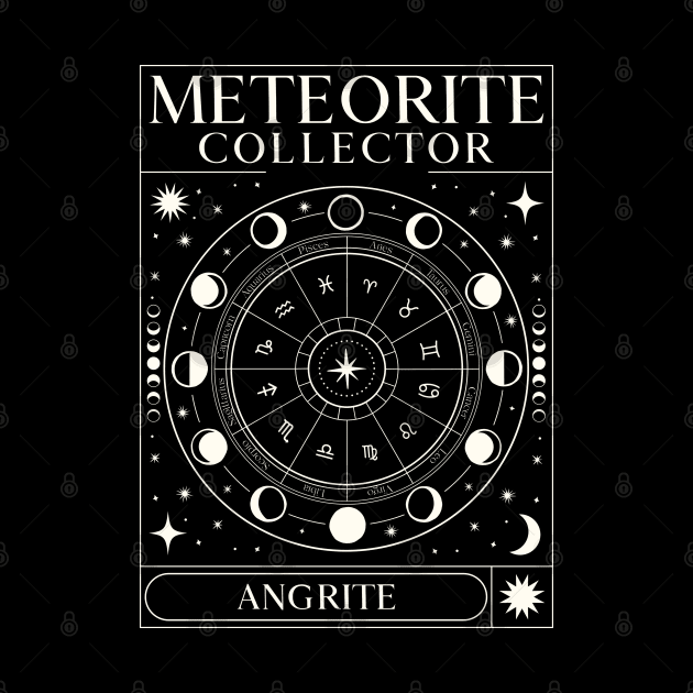 Meteorite Collector Angrite Meteorite Meteorite by Meteorite Factory