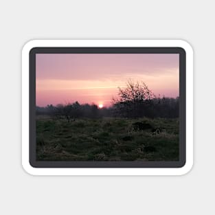 Pink Sunset In The Danish Countryside Magnet