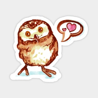 Baby's First Owl Magnet