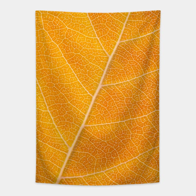 Autumn Leaf Tapestry by philippemx