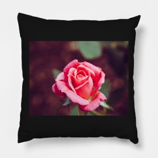 Summer Rose Pillow