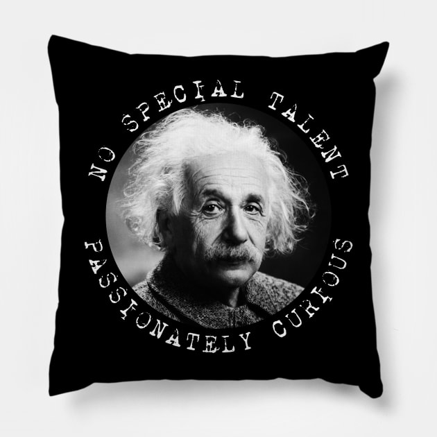 Einstein - No Special Talent - Passionately Curious Pillow by Barn Shirt USA