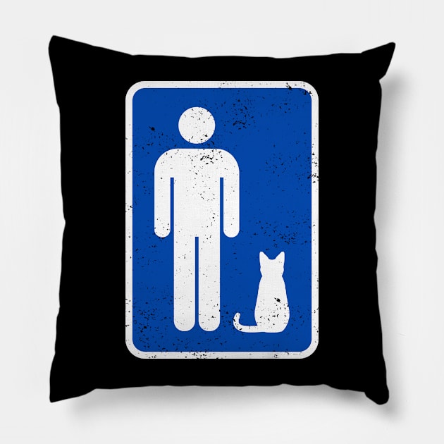 Cat Room - M Pillow by CCDesign