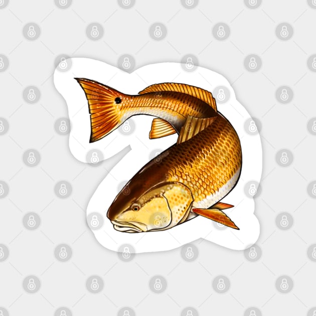 Redfish Fishing Lake River Fish Red Drum Channel Bass Puppy Drum Magnet by DD2019