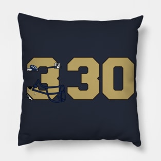 330 Akron Pride Pillow