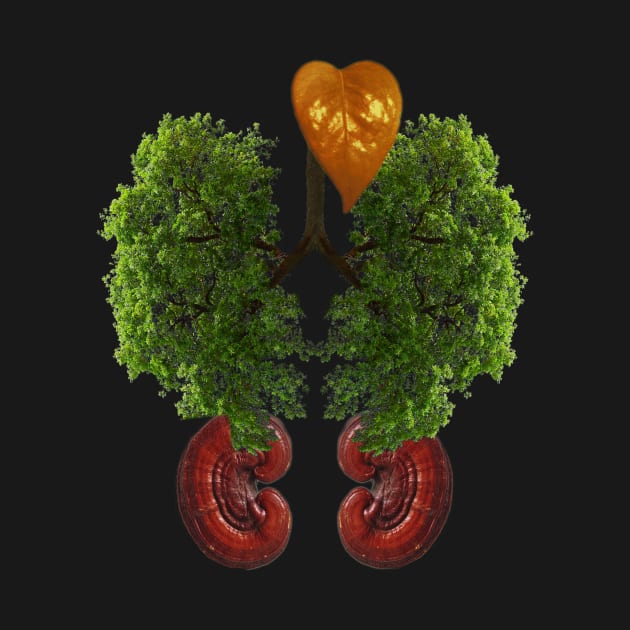 Natural organs by smassico