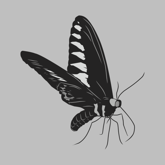 “Elegant Monochrome Butterfly” by Shinwys22 