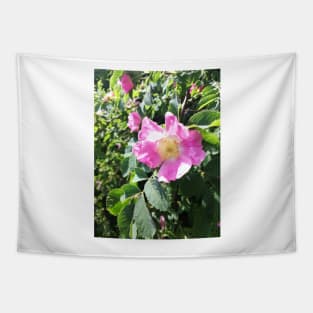 Pink wild rose photograph Tapestry