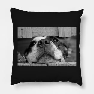 Cute Puppy Dog Poster Pillow