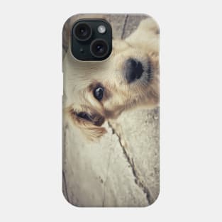 homeless Phone Case