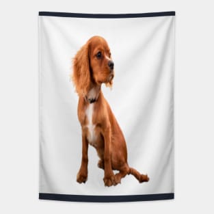 Dog with long ears Tapestry