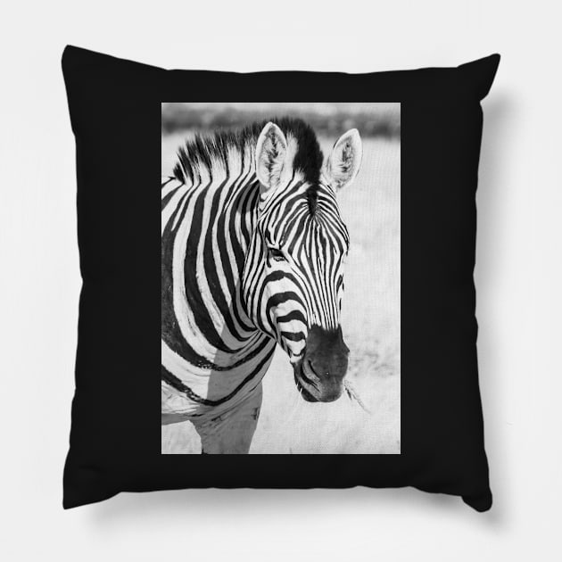 Zebra portrait. Pillow by sma1050