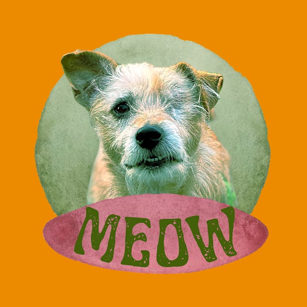 Meowing dog with one eye by happygreen