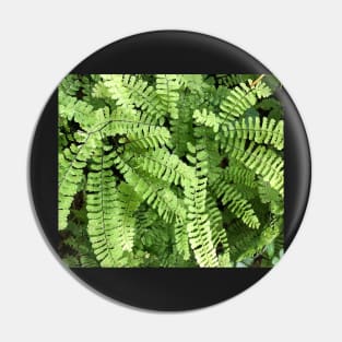 Spiraling Green Ferns in the Rain Pin