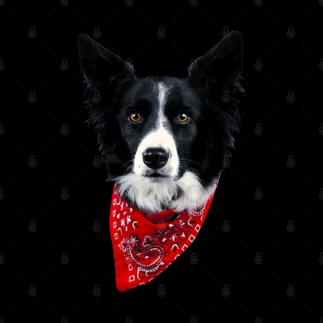 Collie Couture Border, Stylish Statement Tee for Dog Lovers by Merle Huisman