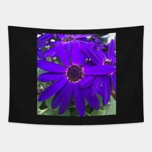 Radiant Purple Daisy Power Tapestry