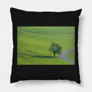 A Field A Road A Tree Pillow