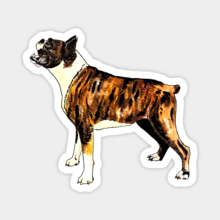 boxer dog Magnet