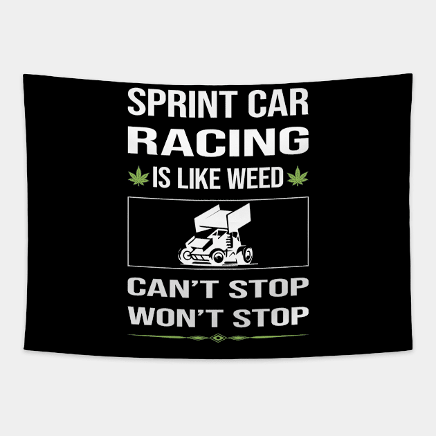 Funny Cant Stop Sprint Car Cars Racing Tapestry by lainetexterbxe49