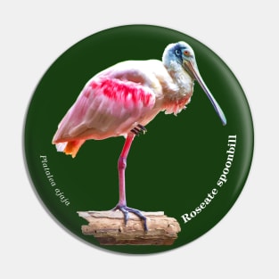 Roseate spoonbill tropical bird pin white text Pin