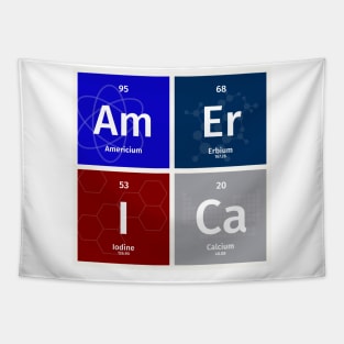 The Periodic Table AmErICa Tapestry
